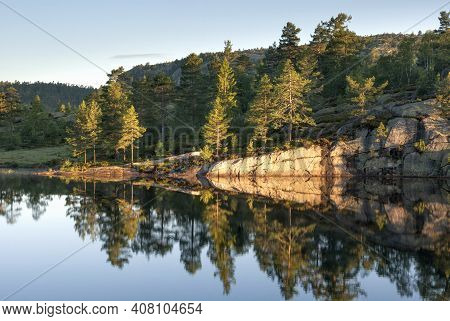 Trees Reflecting In A Lake On An Early Morning Close To The Norwegian Village Gautefall