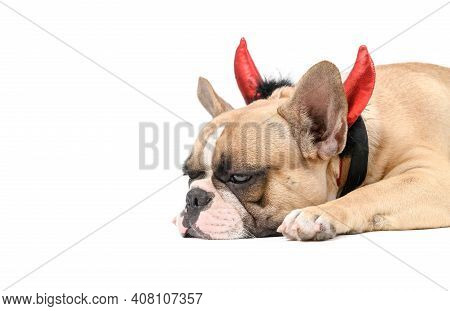 French Bulldog Wearing A Devil Horn Shaped Headband, Lying Bored And Tired Isolated On White Backgro