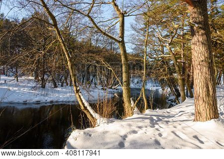 The Piasnca River During Winter In Northern Poland. Debki, Poland