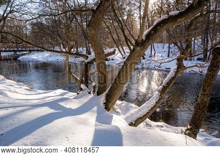 The Piasnca River During Winter In Northern Poland. Debki, Poland