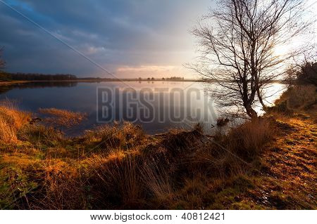 Klidná divoká rybník v Dwingelderveld
