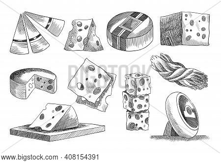 Cheese Collection. Stylish Design Elments For Menu Label Or Banner Poster. Organic Milk Butter Fresh
