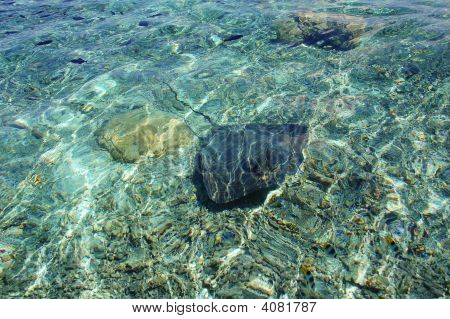 BoraBora Stingray