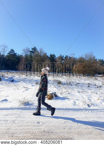 Sallandse Heuvelrug Natural Park Snow Covered During Winter Weather In The Netherlands By Holterberg