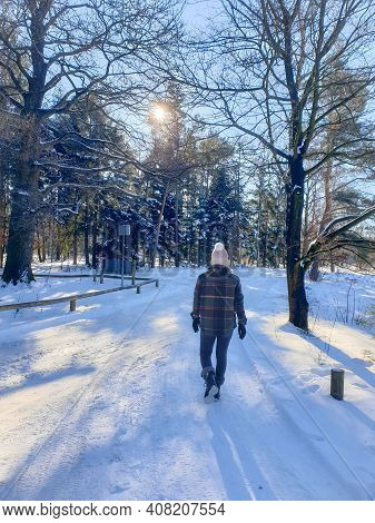 Sallandse Heuvelrug Natural Park Snow Covered During Winter Weather In The Netherlands By Holterberg
