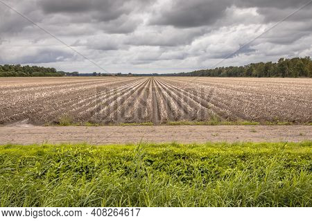 Landscape View Of Arable Land Farmland After Harvesting The Crops. Bant, Flevoland Province, The Net