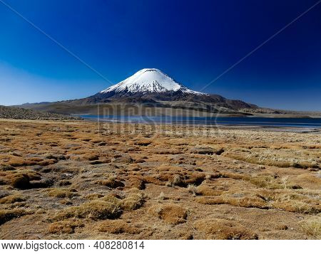 Parina Cota Vulcano Chile On The Border Of Bolivia