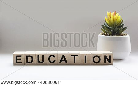 Education - Word From Wooden Blocks With Letters, Education Concept On White Background With Cactus