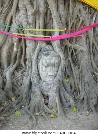 รูปปั้นพุทธ Beheaded โดย Bhurmese