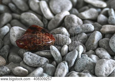 Brown Jasper Among The Gray Gravel On The Sea Beach. Ural Jasper Is Found On An Ordinary River Bank.