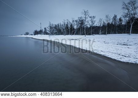 Birch Trees On A Snow-covered Beach. Winter Season. Gdanska Bay, Poland.