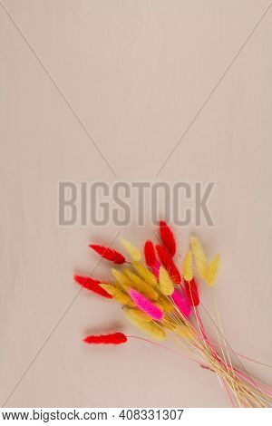 A Multicolored Dry Twigs Spikelet In A Bouquet On A White Background