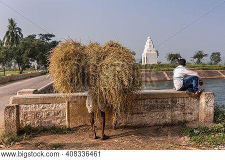 Bullapur, Karnataka, India - November 9, 2013: Man In White Shirt And Dhoti Carrying Yellowish Heap 