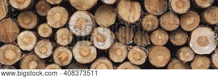 Logging, Deforestation Of The Planet. Stacked Logs. Background Of Stacked Pieces. Pino De Valsain In