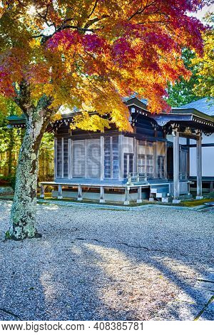 Tranquil Yard Of Tradtional Wooden Shinto Shrine With Seasonal Red Maple Trees At Koyasan Mountain A