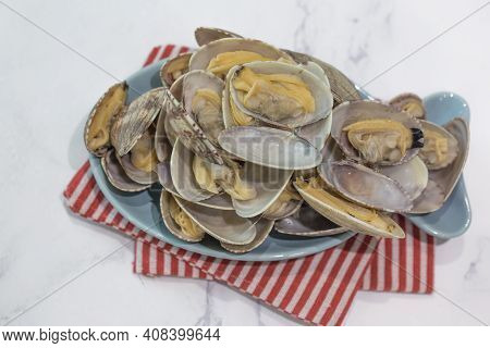 Fresh Surf Clam On A White Background