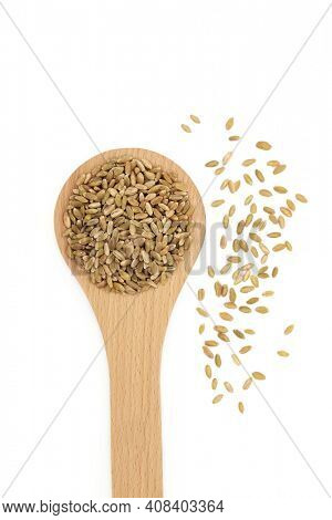 Freekah rice nutritious health food in a wooden spoon on white background. High in protein, fibre, vitamins, minerals with caretonoids for healthy ageing and good for bone and muscle health. Top view.