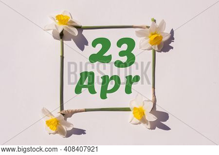 April 23th. Day 23 Of Month, Calendar Date. Frame From Flowers Of A Narcissus On A Light Background,