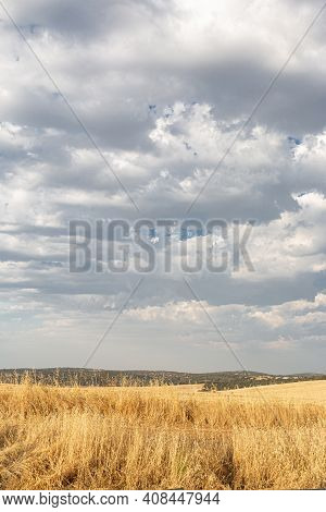 Beautiful Couples, Fields And Landscapes Of The Cordoba