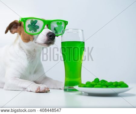 Dog With A Mug Of Green Beer And Glazed Nuts In Funny Glasses On A White Background. Jack Russell Te