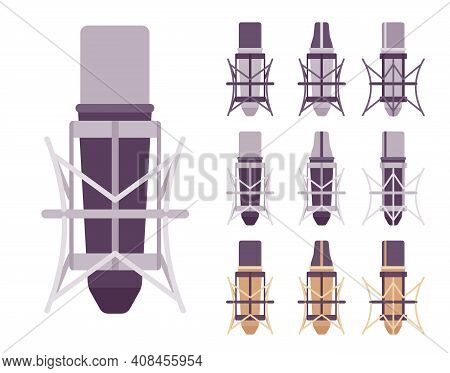 Mic In A Spider Microphone Shockmount Set. Anti Vibration And Isolation Equipment For Perfect Sound.