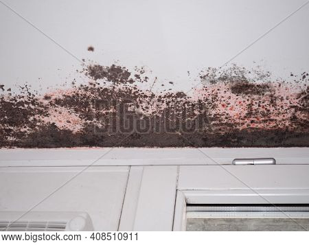 Dampness Moisture On Wall