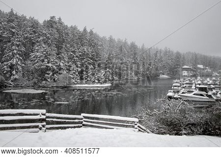 Snowy Landscape Scene On Vancouver Island In February