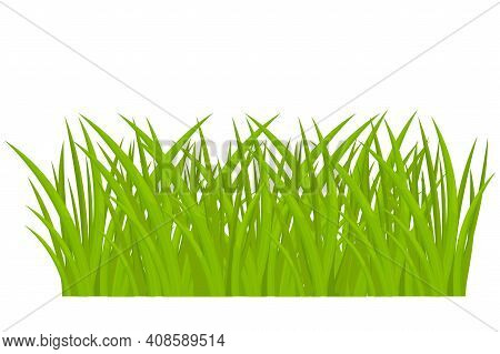 Cartoon Green Grass In Cartoon Style Isolated On White Background Stock Vector Illustration. Ui Game