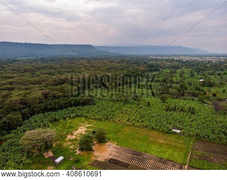 Aerial View On Farm Plantation On The Edge With A Primal Virgin Forest Of Manyara National Park Conc