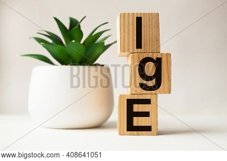 Word Ige On Wooden Blocks. Medical Concept . The Medicine