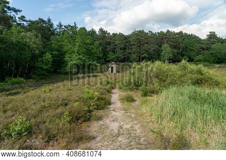 Beautiful Hillside Landscape In The Nature Preservation Area Of The Lueneburger Heide