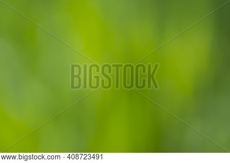 Green Blurred Natural Pointless Background For Design.