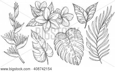Vector Set Of Tropical Leaves. Palm, Banana Leaf, Monstera, Heliconia And Frangipani Flowers. Black 