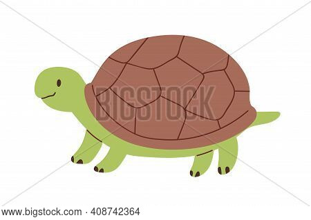 Cute And Funny Green Turtle With Brown Shell. Side View Of Happy Tortoise Character Standing Isolate