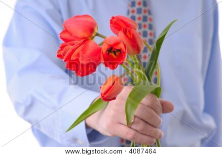 Homme tenant des tulipes rouges