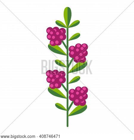 Simple Minimalistic Bright Green Branch With Leaf And Pink Berries. Flower Collection Of Colorful Pl