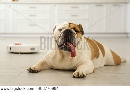 Robotic Vacuum Cleaner And Adorable Dog On Floor In Kitchen