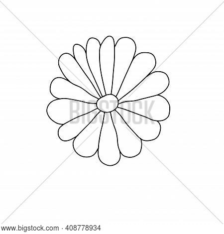Illustration Of A Flower Sketch On White Background