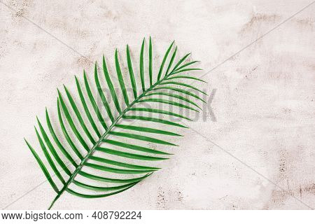 Creative Nature Layout Made Of Fake Tropical Leaf On Concrite Background Flat Lay Summer Minumal Con