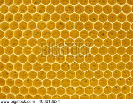 Fresh Honey In Comb. Beewax Comb Structure Abstract Pattern. Yellow Honey Cells Texture Background.