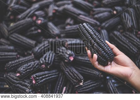Young Woman Choosing Peruvian purple corn in Grocery Store, which is mainly used to prepare juice (c