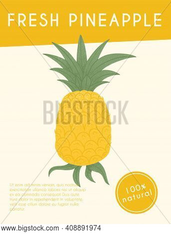 Ripe Pineapple With Leaves Card Template. Sweet Pineapple Fruit Vector Hand Drawn Poster Design.