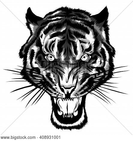 Monochromatic Tiger Anger. Vector Illustration Of A Tiger Head.
