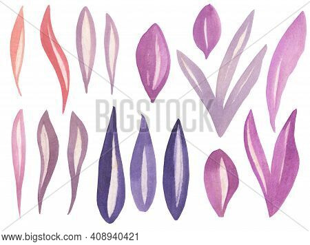 Watercolor Viloet Purple Floral Illustration, Leaf And Berries.
