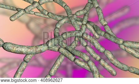 Bacteria Bacillus Anthracis, The Causative Agent Of Anthrax Disease, 3d Illustration