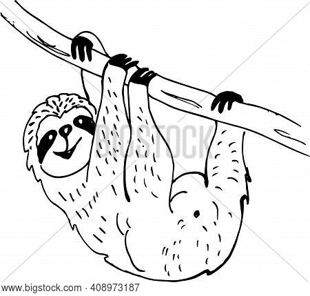 Cute Doodle Sloth Bear. Vector Illustration In Sketch Style