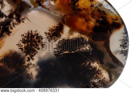 Macro Mineral Stone Moss Agate, Agata Muschiataan