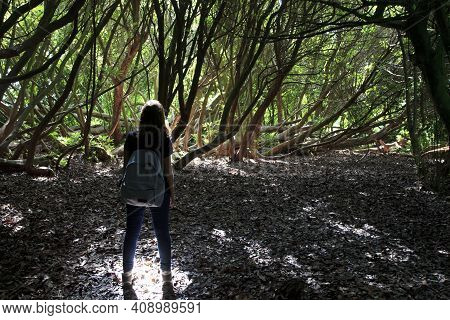 Saint Austell (england), Uk - August 19, 2015: The Lost Gardens Of Heligan, Cornwall, England, Unite