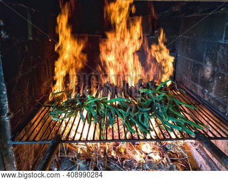 Fire In Fireplace With Calçots Typìcal Food Of Valls Tarragona