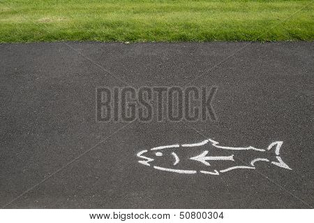 Fish And Arrow On Pavement